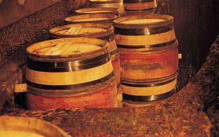 Burgundian Wine barrels