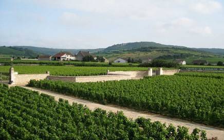Chateau in Burgundy