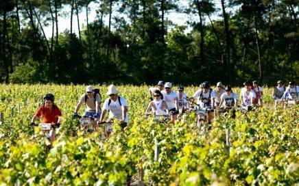 Cycling-the-Bordeaux-Vineyards1