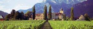 Swiss-wine-tours-2